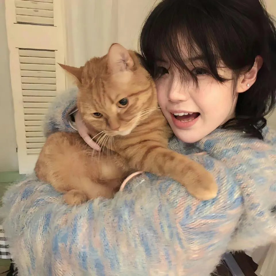 史酷比！格斗狂热迷